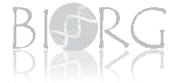 BioRG Logo